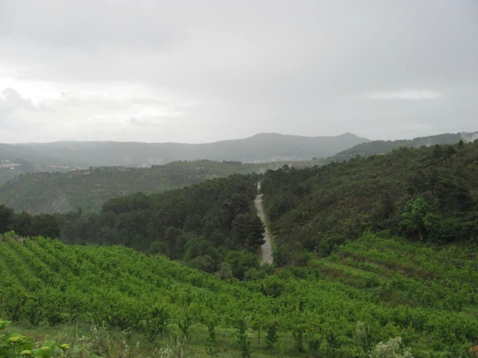 Quinta de Silvares主图