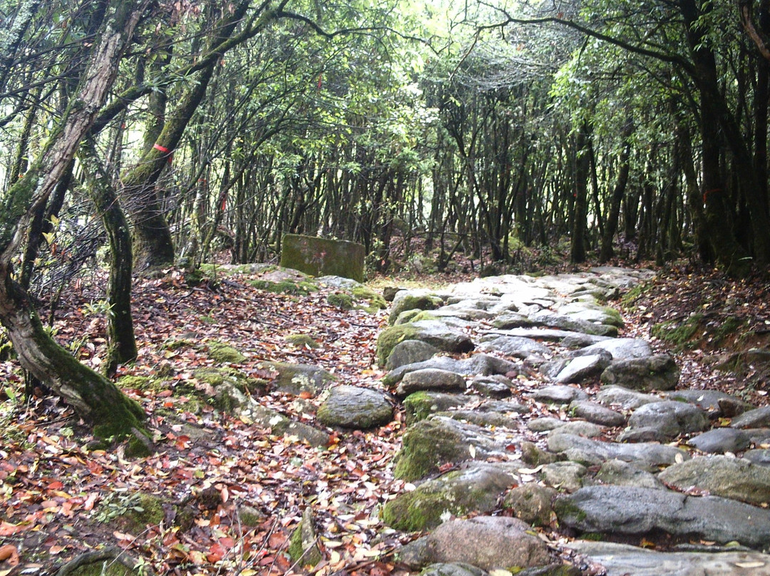 西昌灵山寺-西昌市必去景点