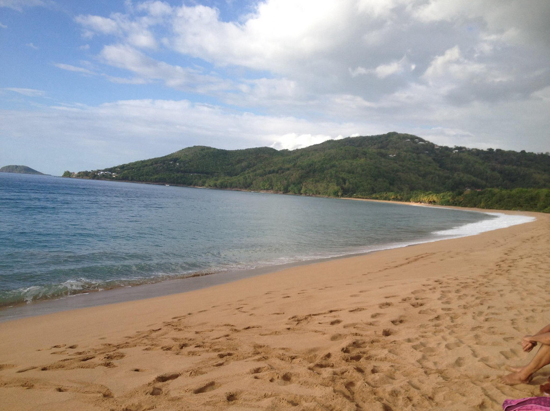 Plage de Grande Anse-Deshaies必去景点