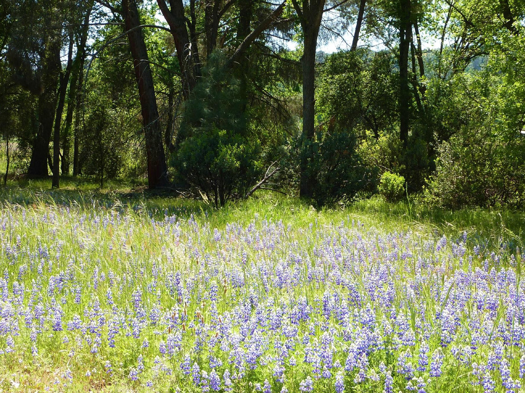 Ahwahnee Hills Regional Park-Ahwahnee必去景点