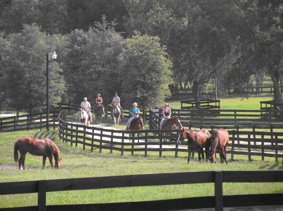 Happy Acres Ranch-Dunnellon必去景点