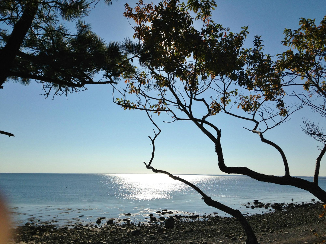 Ellisville Harbor State Park-普利茅斯必去景点