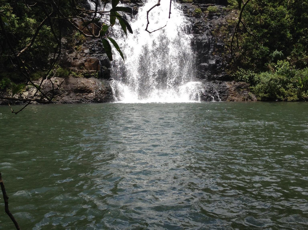 Domaine des 7 Vallées-Vacoas必去景点