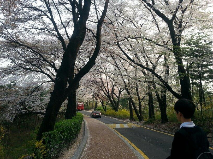 南山公园-首尔必去景点