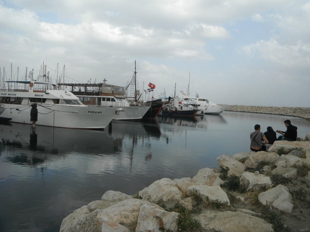 Larnaca Marina-拉纳加必去景点