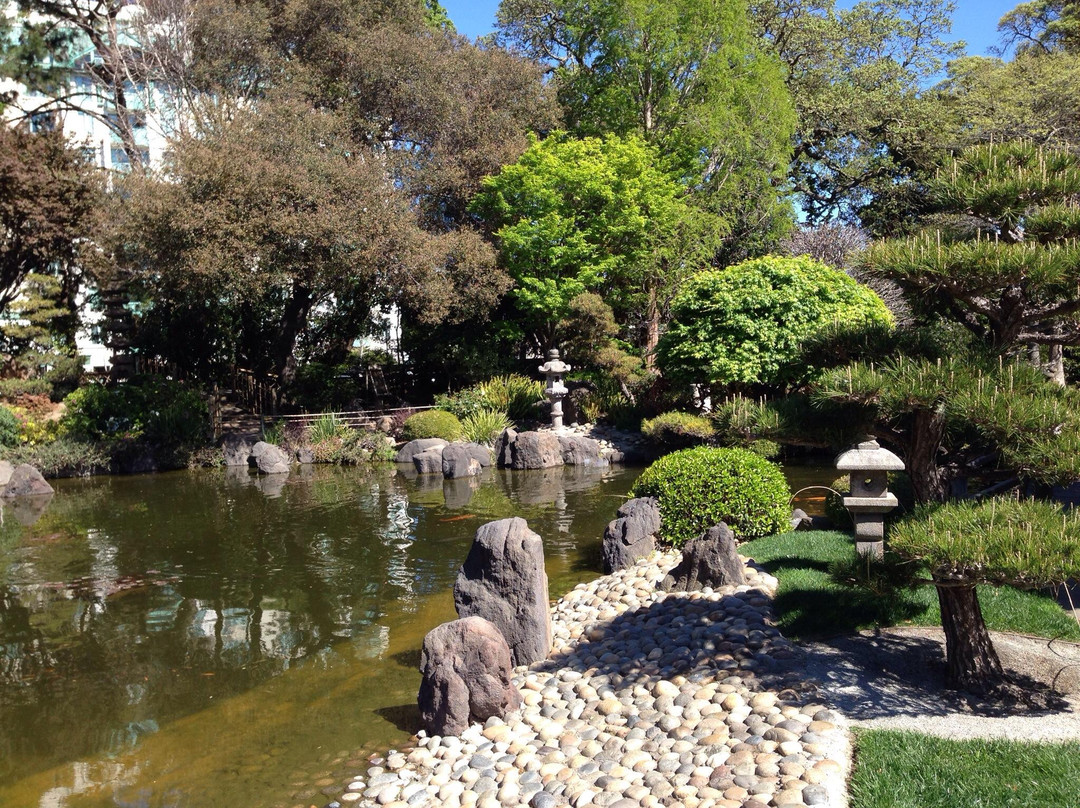 The San Mateo Japanese Garden-圣马特奥必去景点