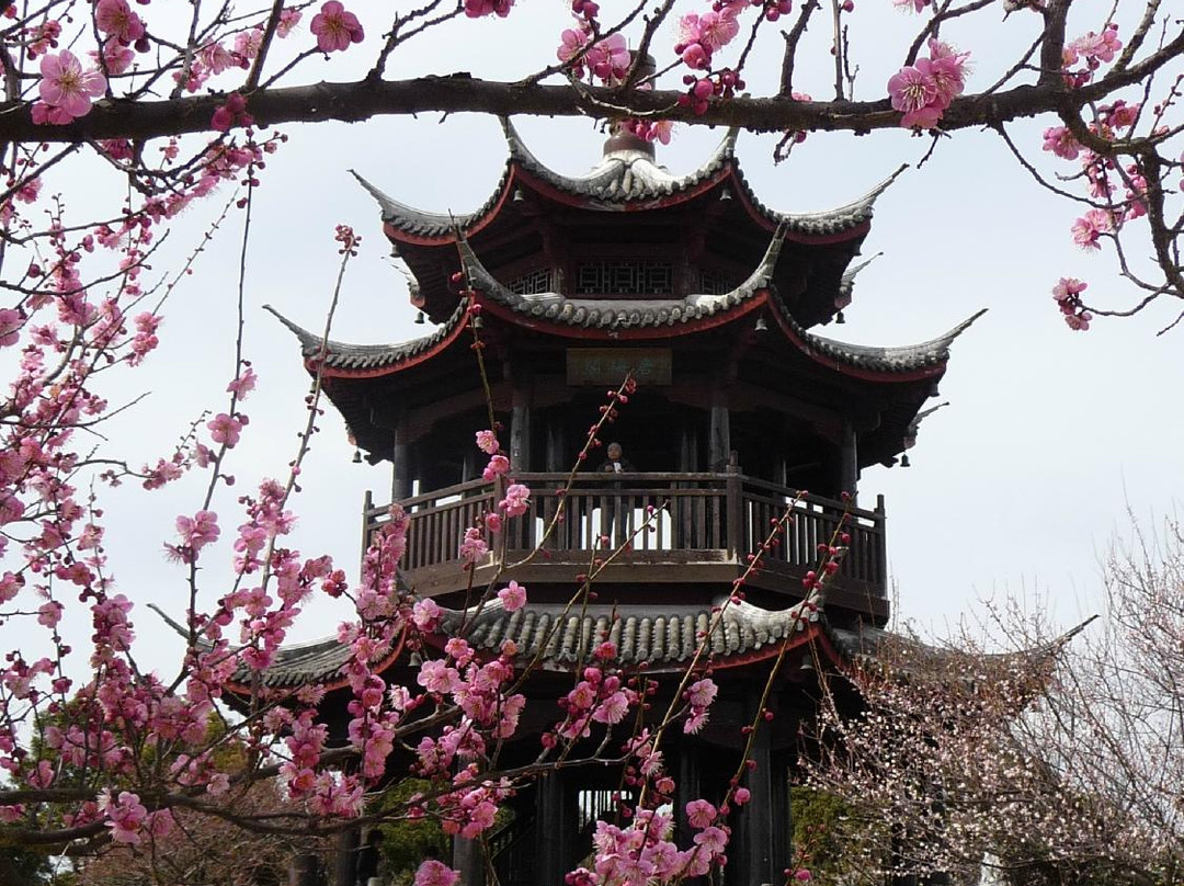 Ume Tree Parks-龙野市必去景点