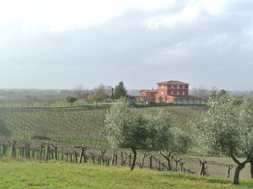 Agriturismo Villa Clementina主图