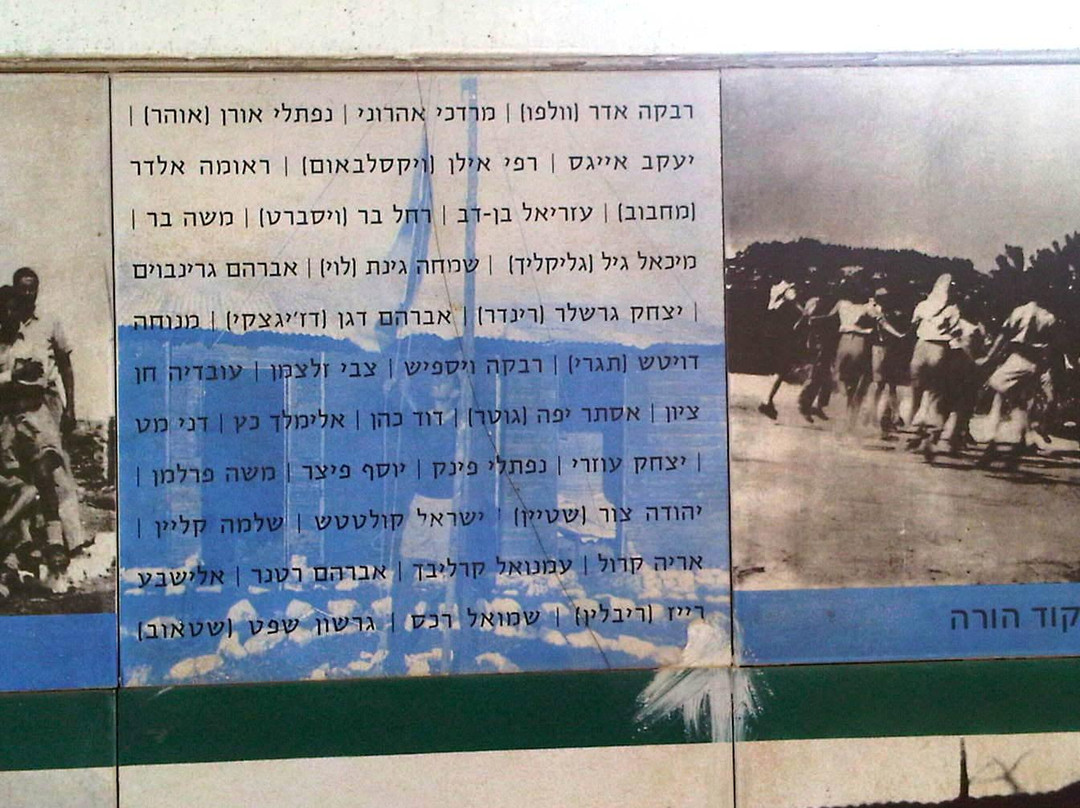 Biriya Forest-萨法德必去景点