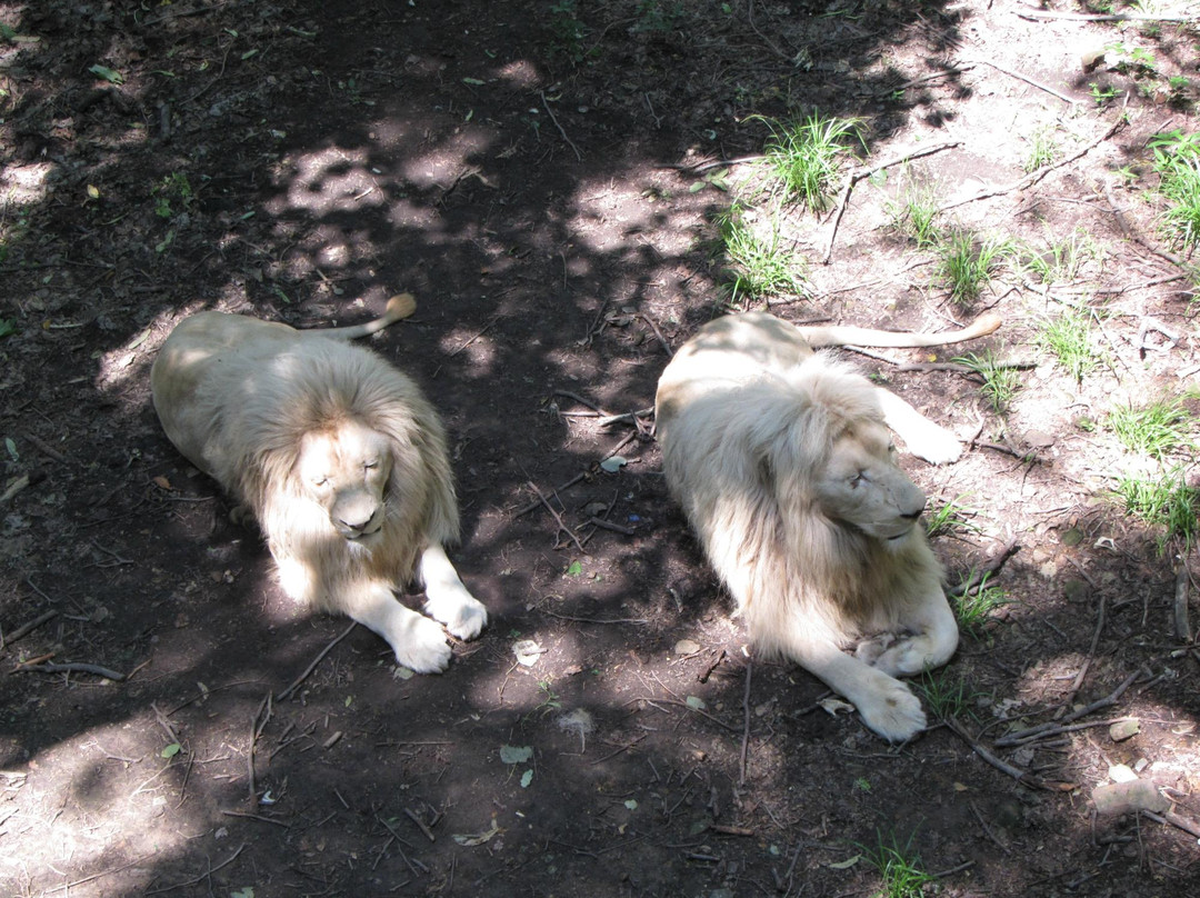 北方森林动物园-哈尔滨市必去景点