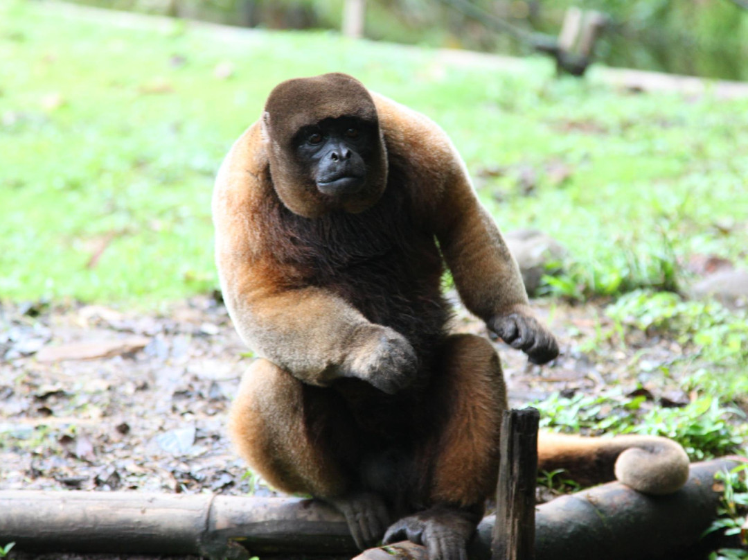 Aningatravel Baños-Ecuador-巴尼奥斯必去景点