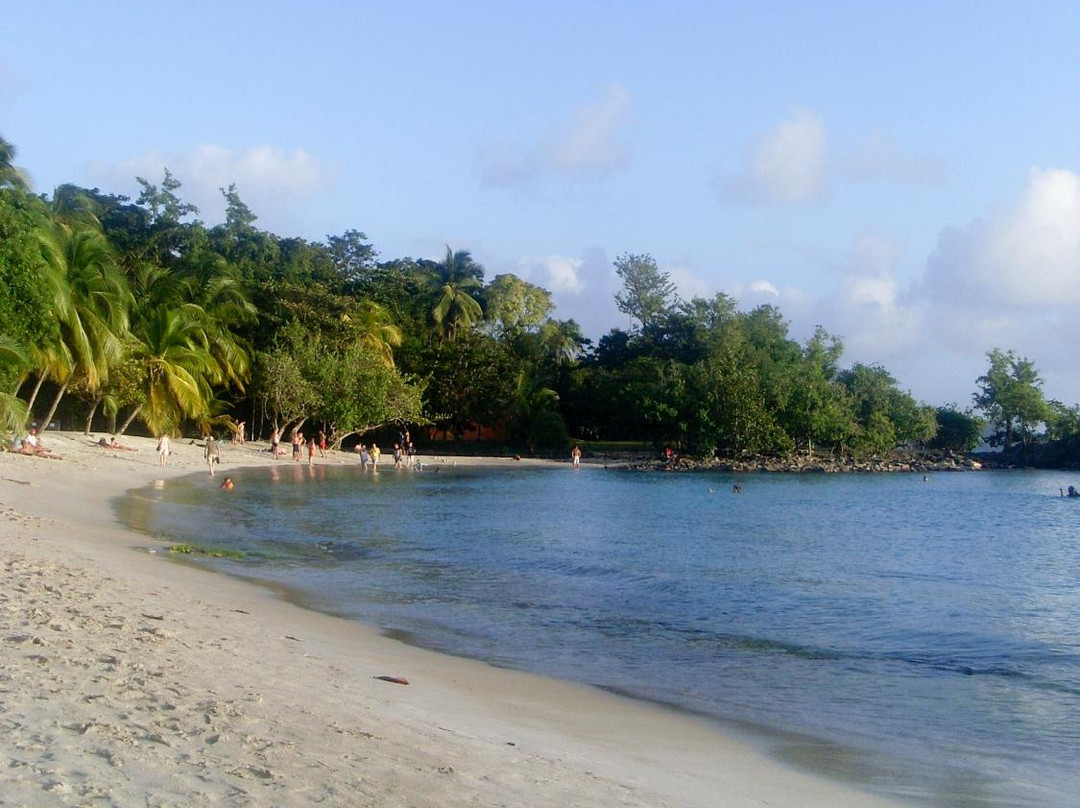 Anse Figuier-Riviere-Pilote必去景点