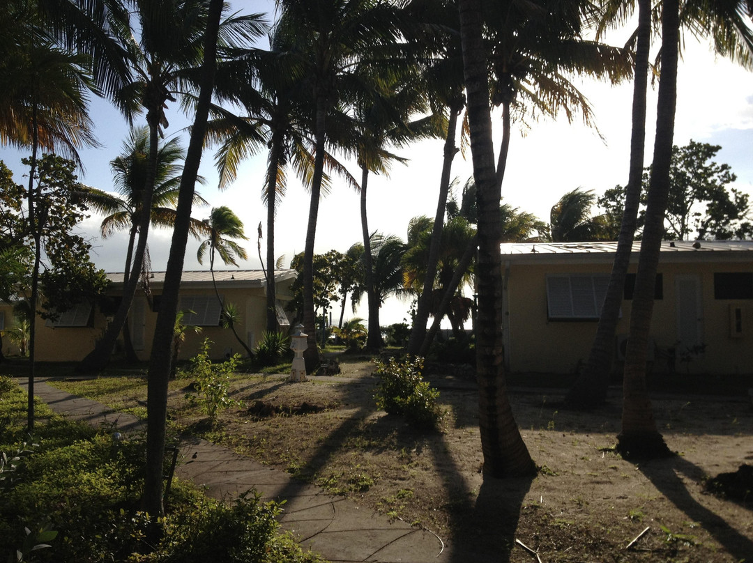 Bimini Big Game Club景点图片