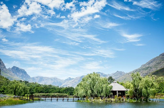 Camino Wine Tours-斯泰伦博斯必去景点