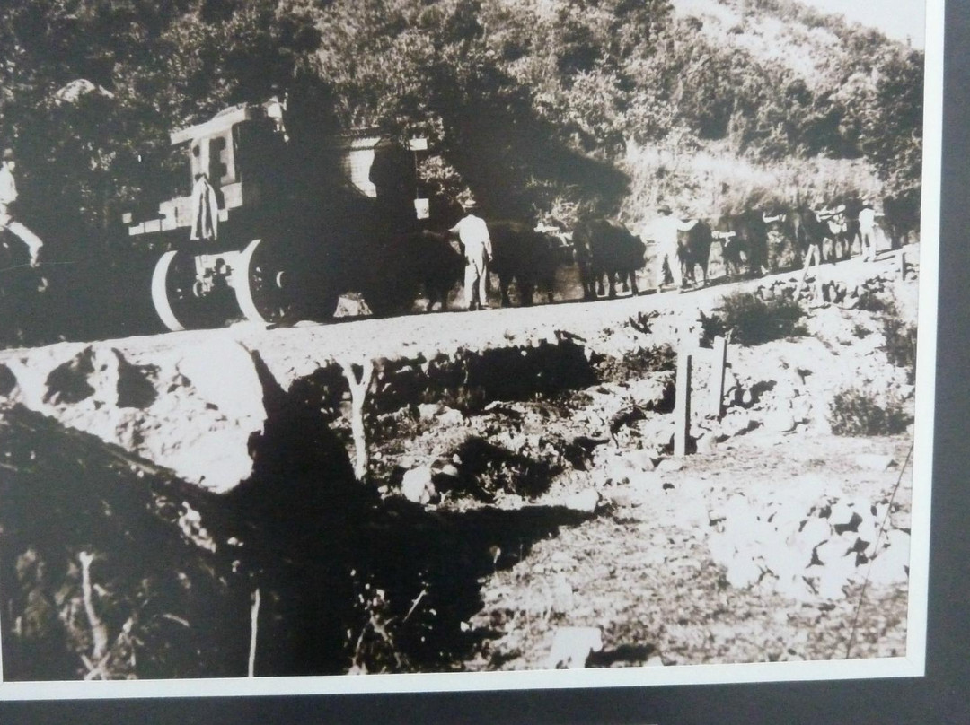 Museo de la Gran Mineria de Cobre-Machali必去景点