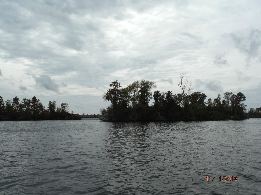 North Carolina Estuarium景点图片