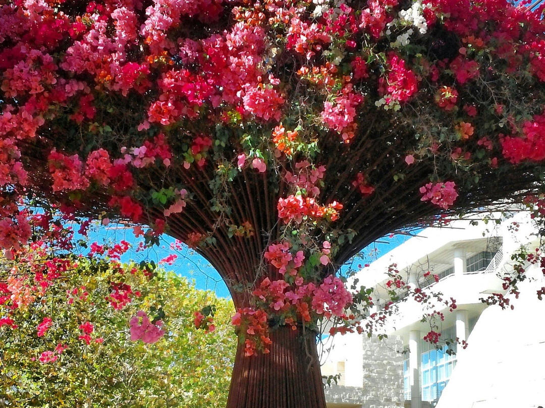 盖蒂中心-洛杉矶必去景点