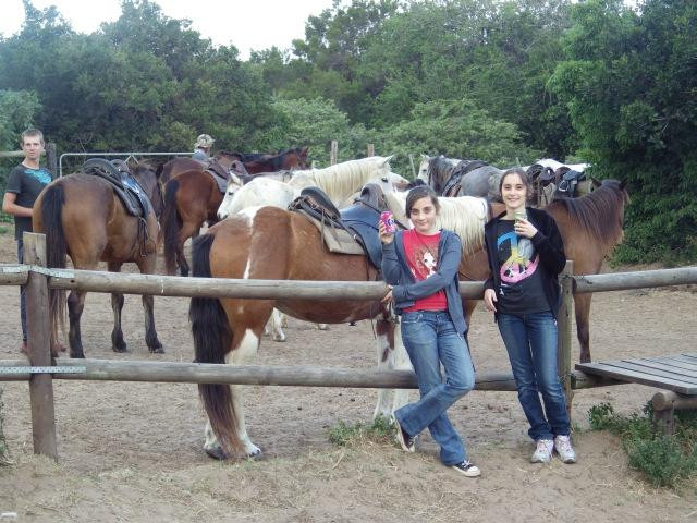 Beachcomber Horse Trails-Kenton-on-Sea必去景点