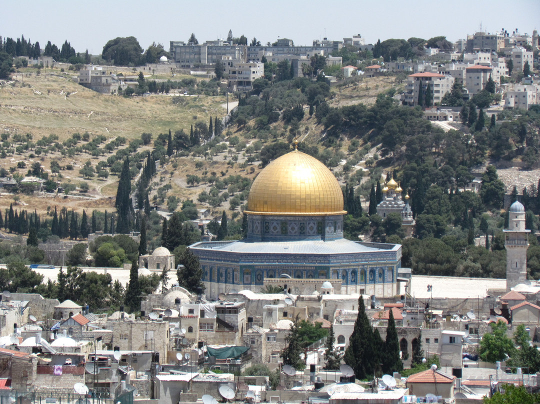 大卫塔博物馆 (The Citadel)-耶路撒冷必去景点