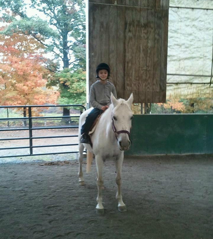 My Saddle Brook Farm景点图片