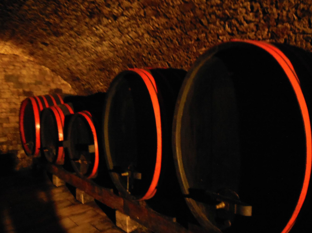 Boris Lisjak Winery-Dutovlje必去景点
