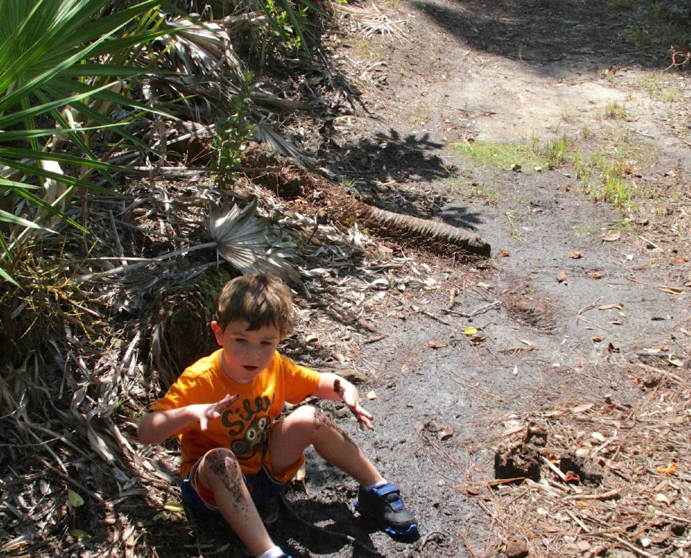 Spruce Bluff Preserve-圣露西港必去景点