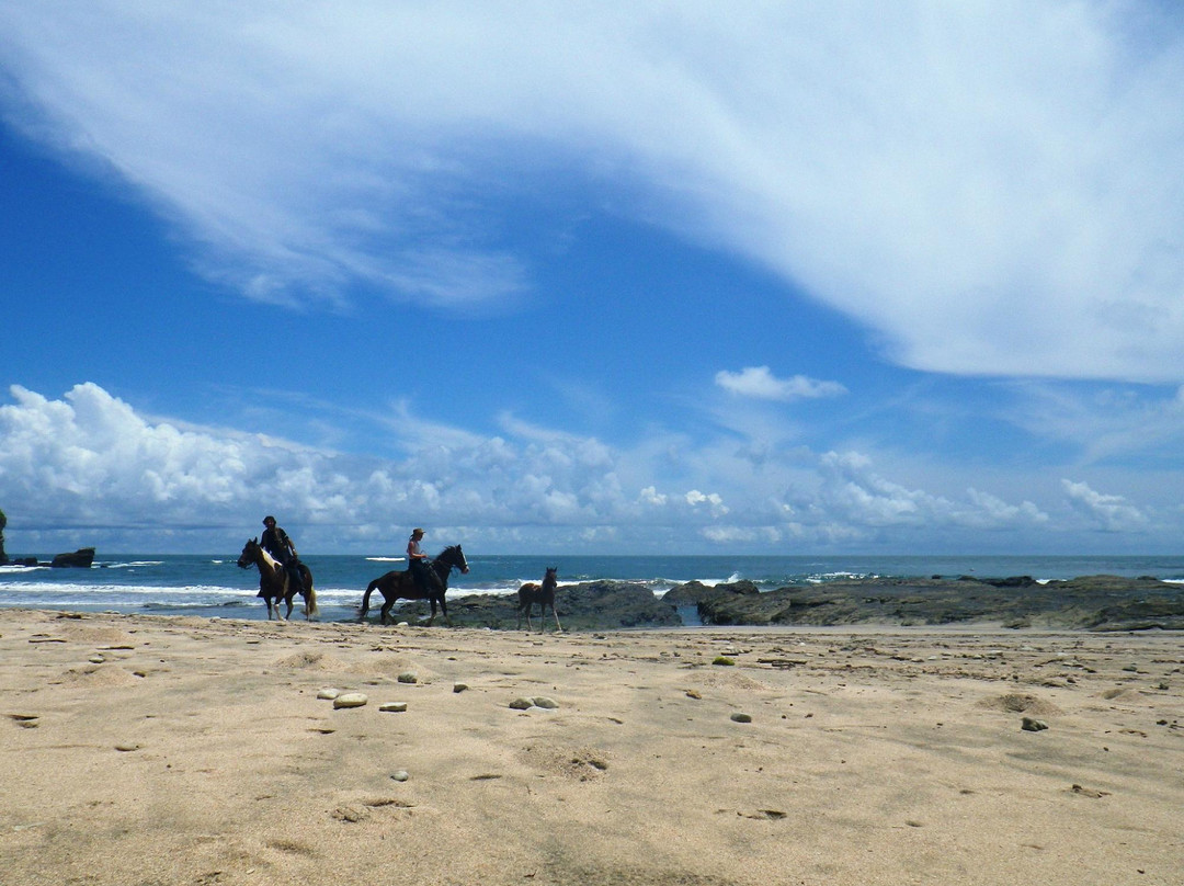 The Wave Nosara Hostel主图