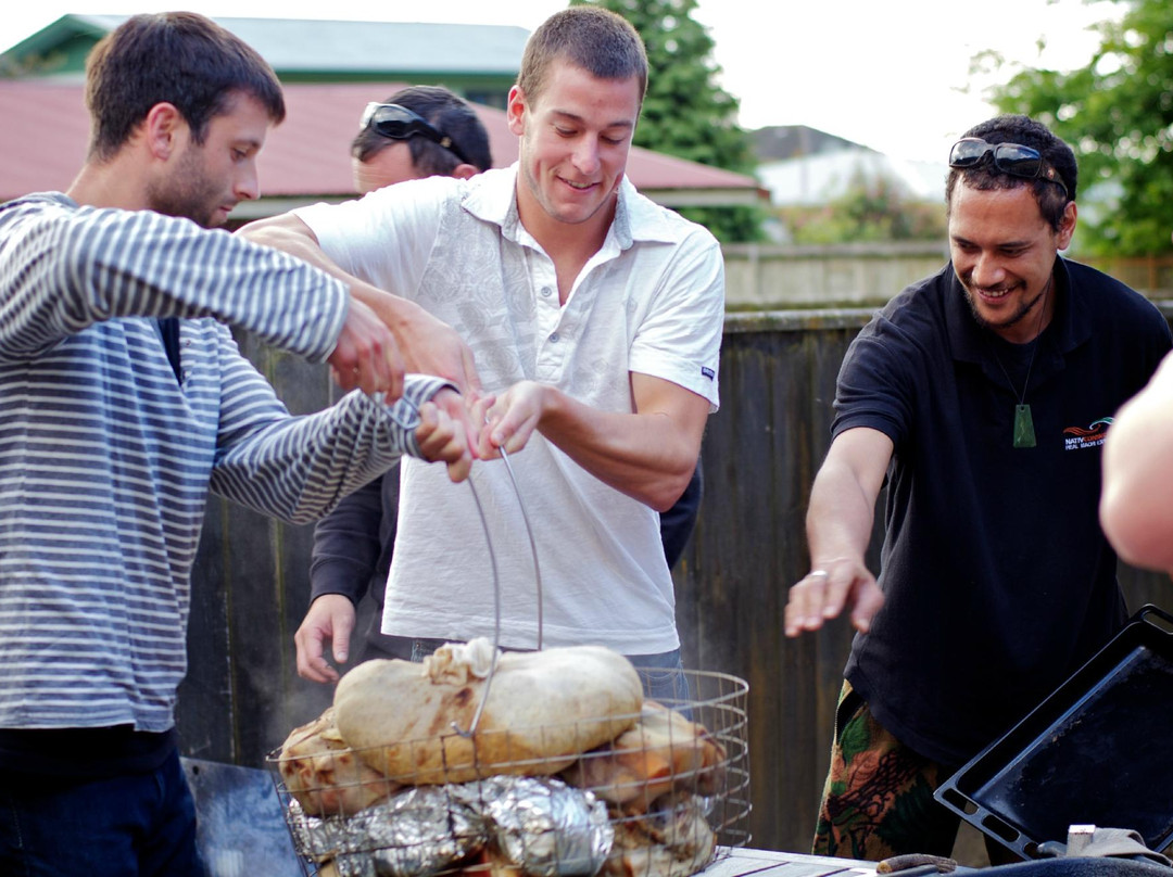 NATIVConnectioNZ:Real Māori Experiences- Day Tours-法卡塔尼必去景点