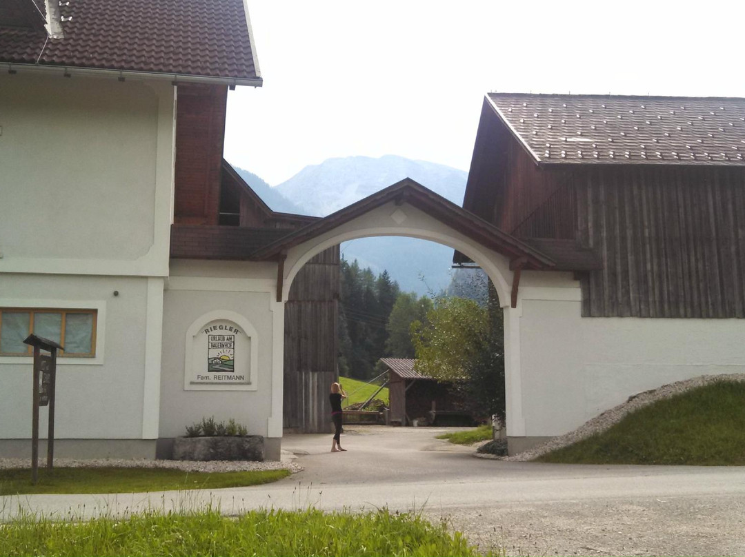 Baby- und Kinderbauernhof Riegler主图