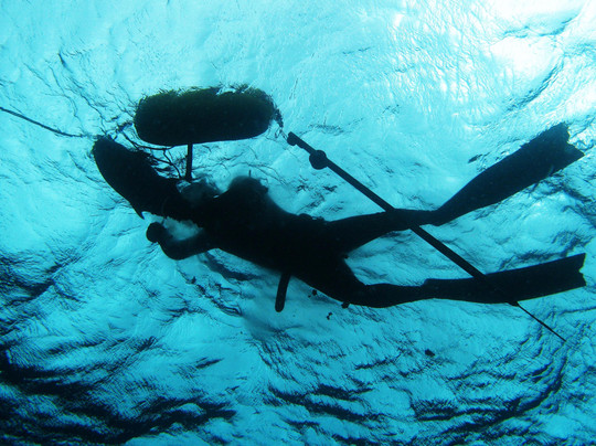 Fusion Freedive and Spearfishing-沙努尔必去景点