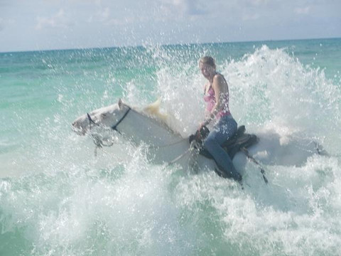 Pinetree Stables-弗里波特必去景点