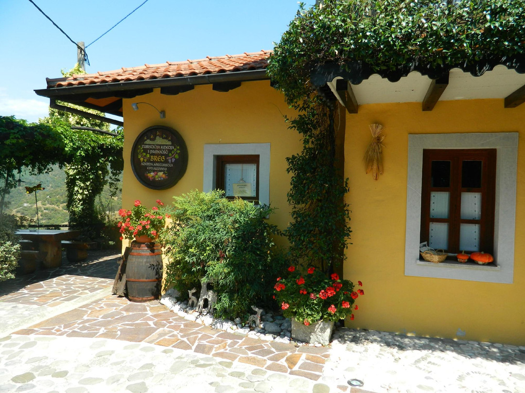 Tourist Farm Breg