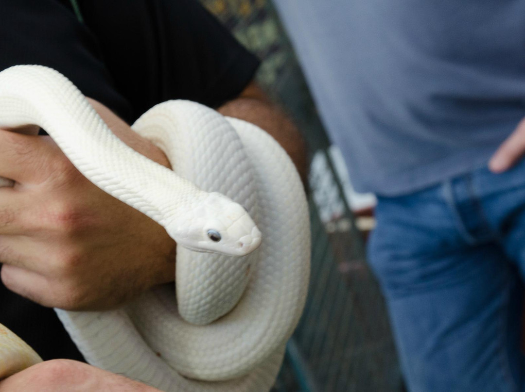 Katzrin Reptile Center-Katzrin必去景点