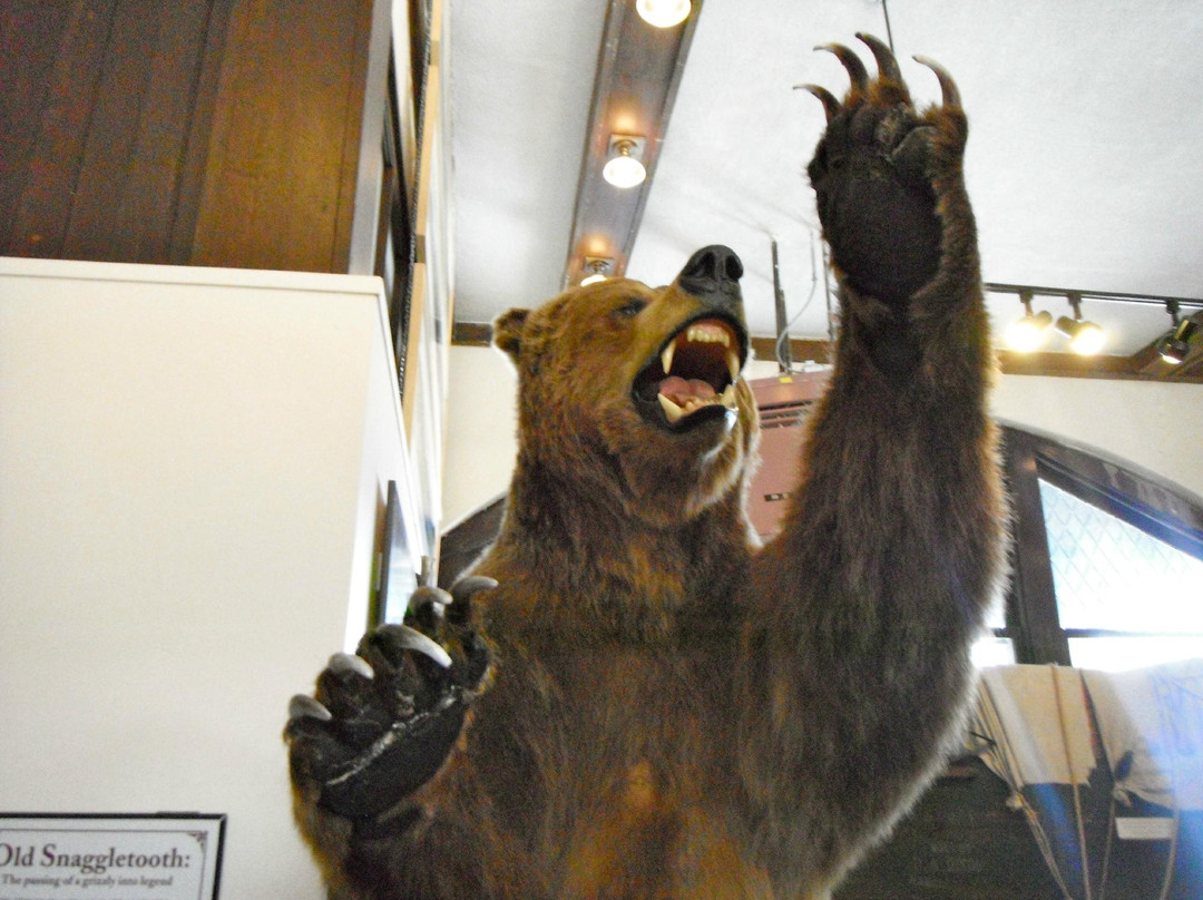 Museum of the Yellowstone-西黄石镇必去景点