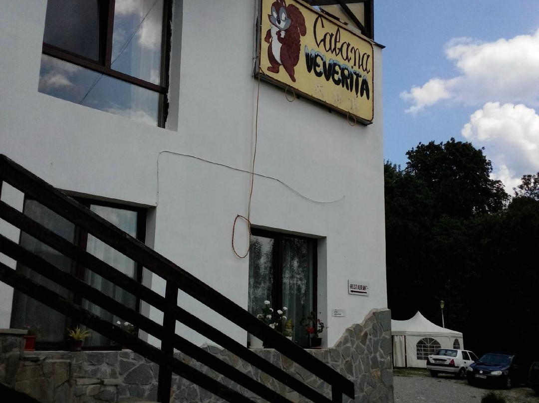 Tesila酒店住宿-Pension Cabana Veverita