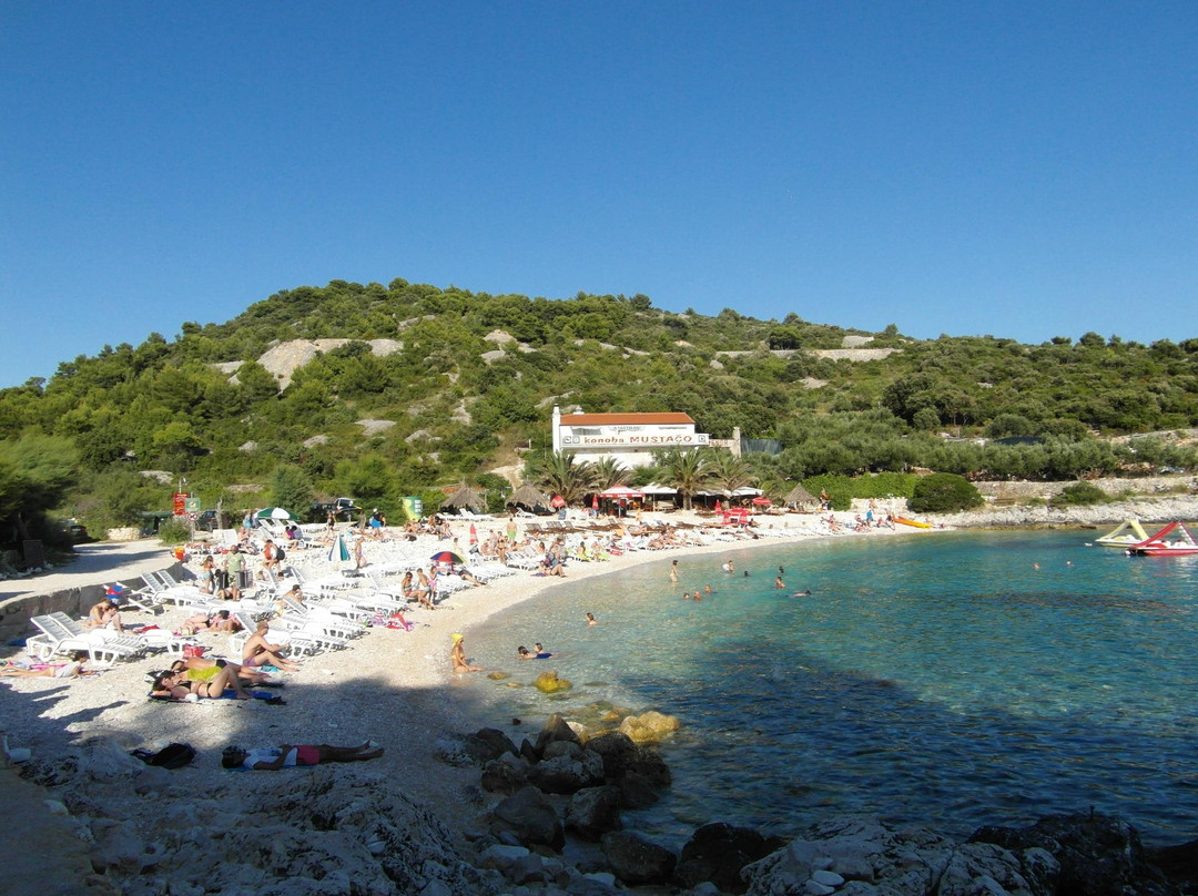 Mustačo Restaurant主图