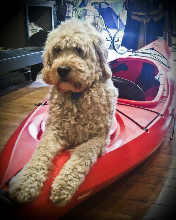 The Gear ReSource Outfitters-Dundas必去景点