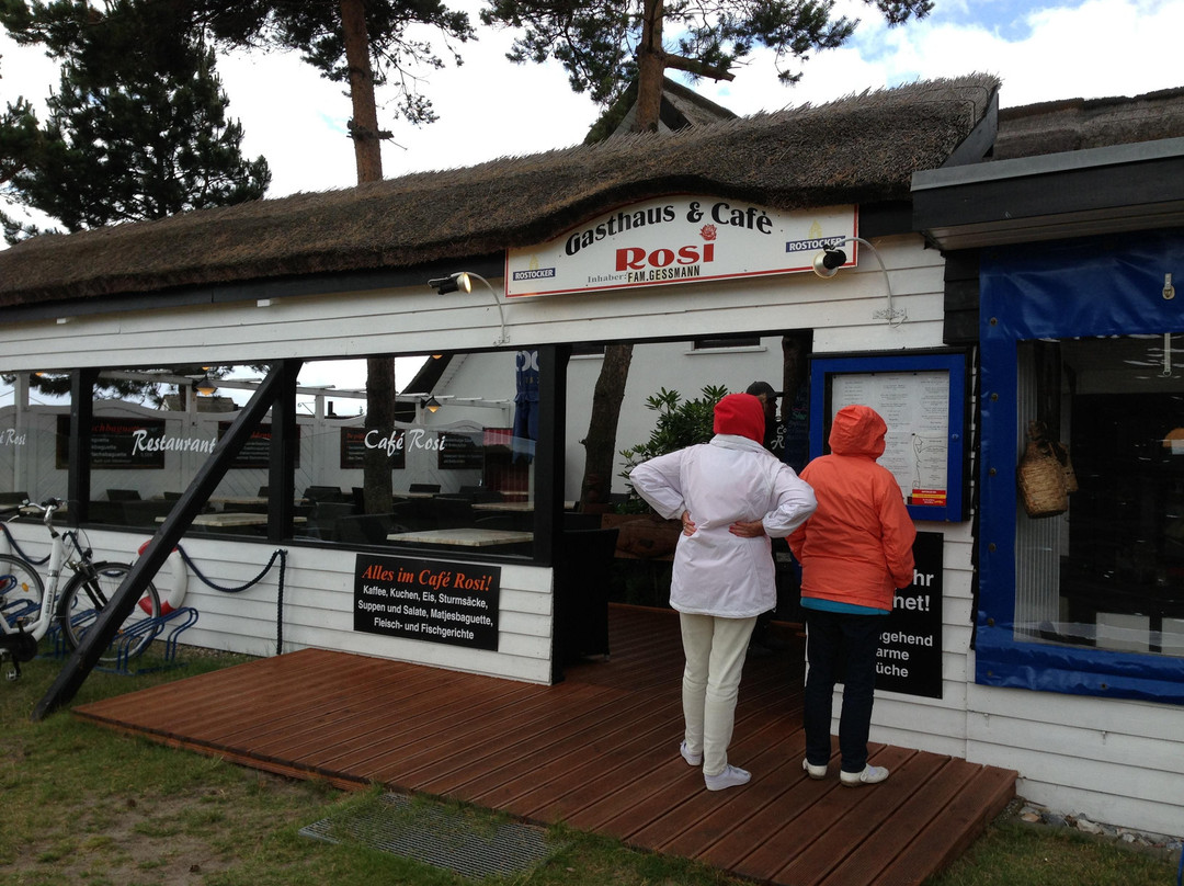 Hiddensee Island旅游攻略图片