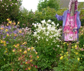 Touchwood Aquilegia Garden景点图片