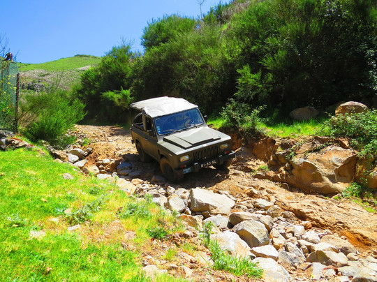 Up Mountain Madeira-沙尔必去景点