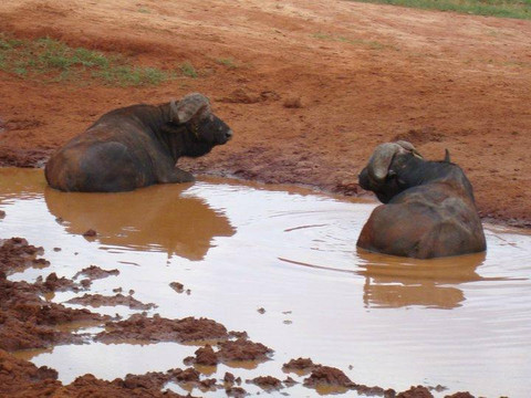 PD Tours and Safaris-蒙巴萨必去景点