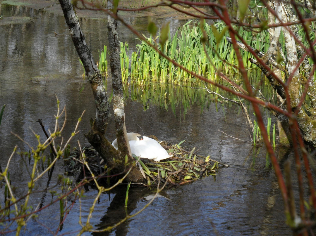 Marfield Lake-Clonmel必去景点