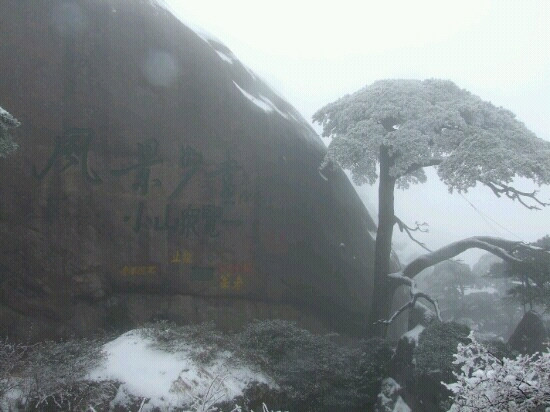迎客松-黄山市必去景点