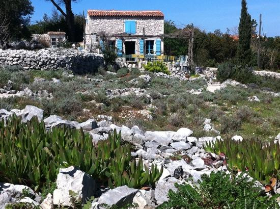 The Lošinj Aromatic Garden景点图片