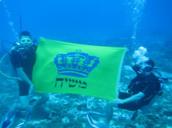 Chabad of Cozumel景点图片