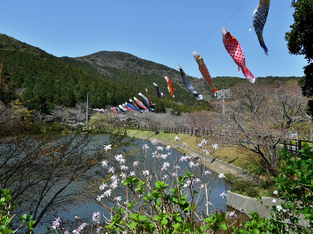 Takigashira Park-田原市必去景点