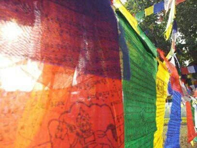 Lumbini Bamboo Resort主图