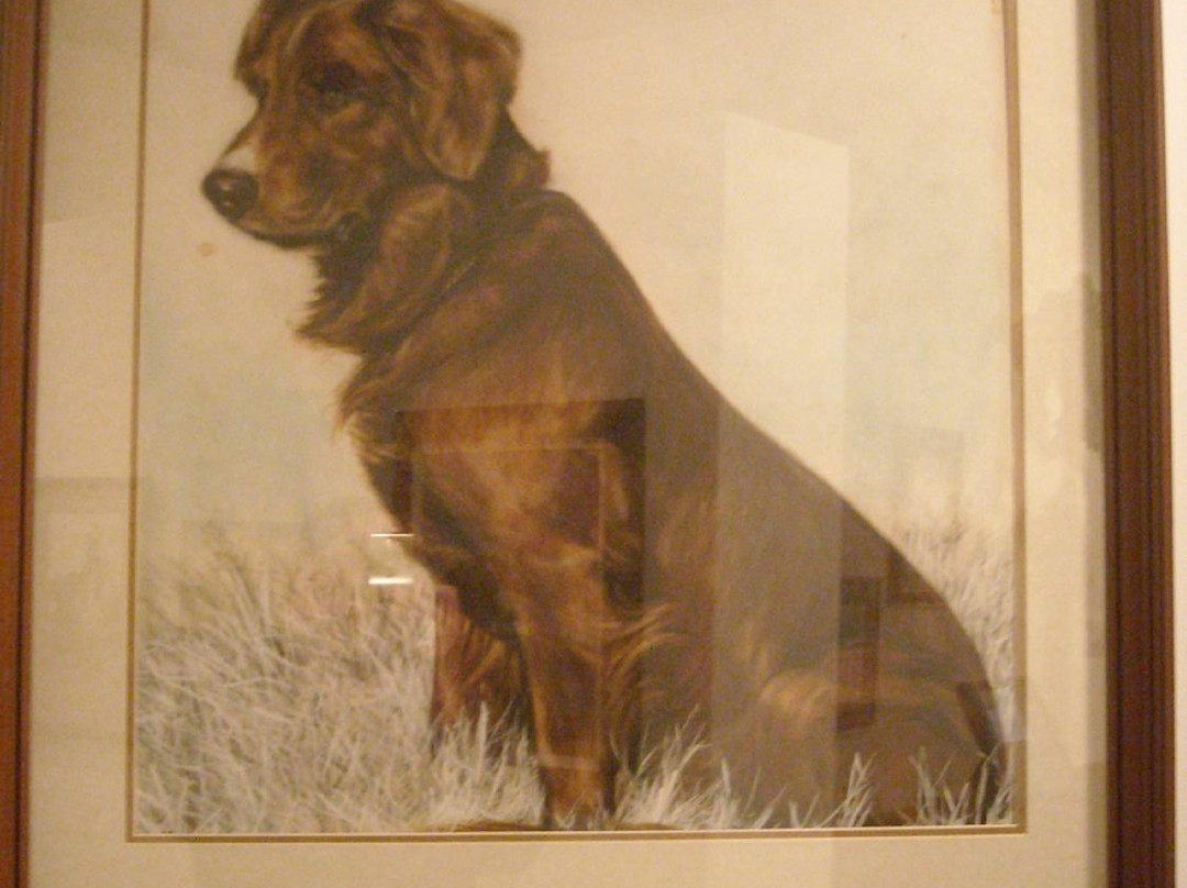 National Bird Dog Museum景点图片