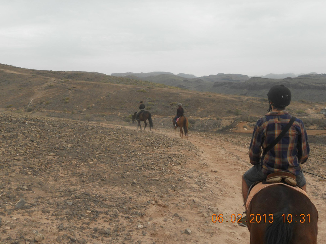 El Salobre Horse Riding-马斯帕洛马斯必去景点