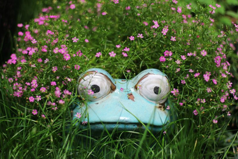 昆山周庄花间堂唯美人文客栈季香院主图